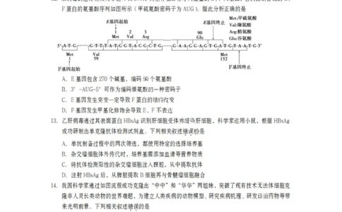 生物试卷-遂宁市高中2026届高三一诊考试(1)_2026年1月_260124四川省遂宁市高中2026届高三一诊考试（全科）