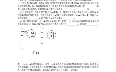 2011年高考生物试卷（广东）（解析卷）_生物历年高考真题_新&middot;PDF版2008-2025&middot;高考生物真题_生物（按年份分类）2008-2025_2011&middot;高考生物真题