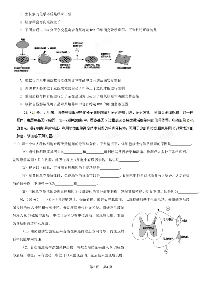 2013年高考生物试卷（安徽）（空白卷）_生物历年高考真题_新&middot;PDF版2008-2025&middot;高考生物真题_生物（按省份分类）2008-2025_2012-2025&middot;（安徽）生物高考真题