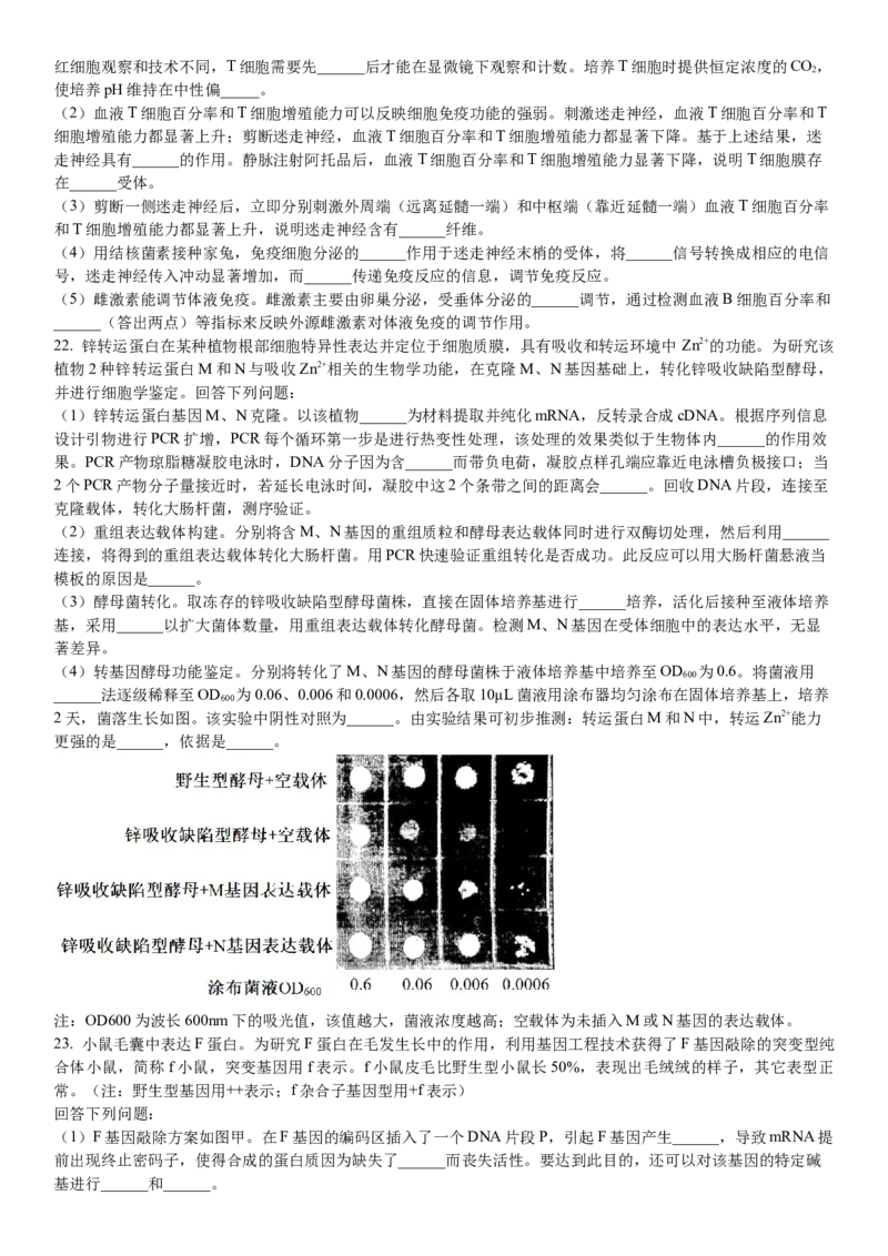 浙江生物-1月-试题-p_近10年高考真题汇编（必刷）_2024年高考真题_高考真题（截止6.29）_其他地方卷（目前搜集不完整）_浙江卷（1月全，6月化、通用技术、信息技术）
