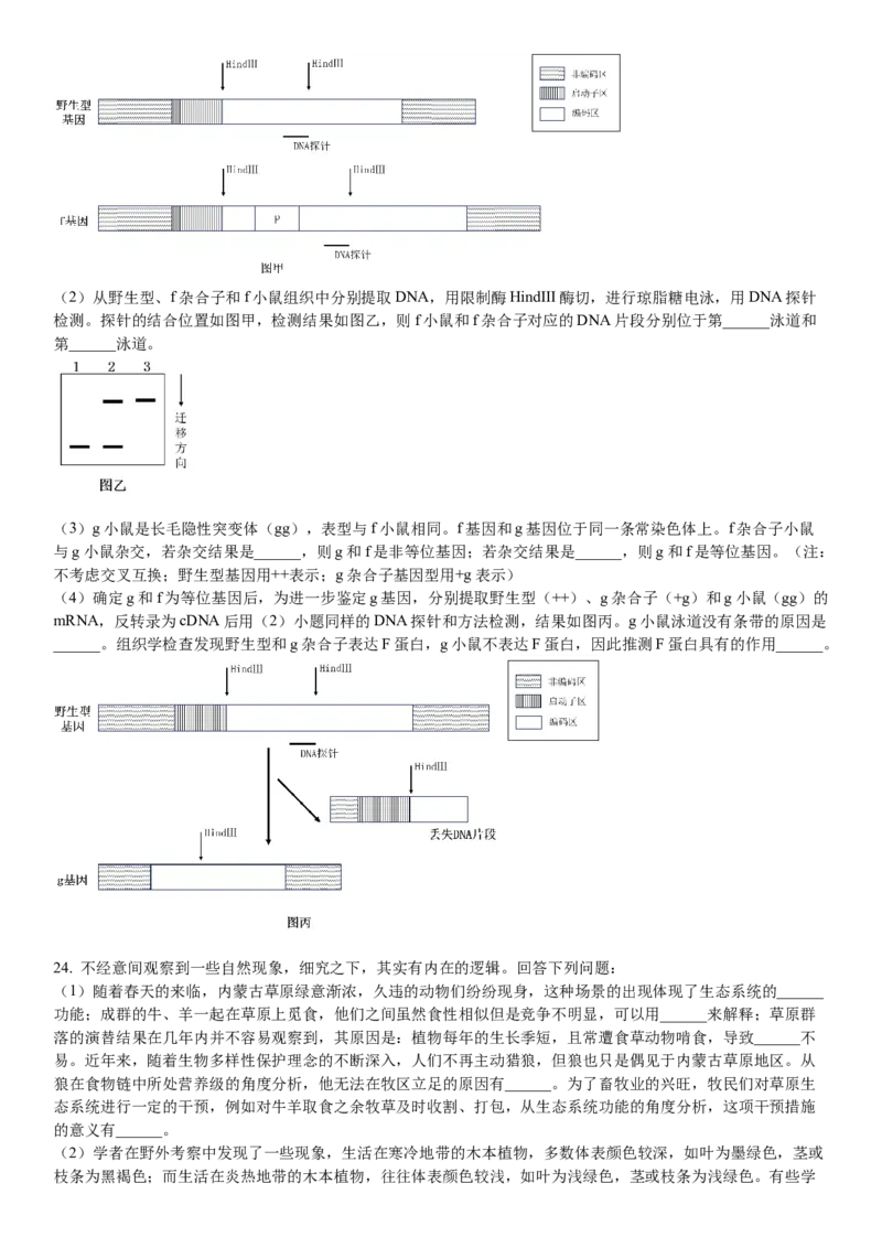 浙江生物-1月-试题-p_近10年高考真题汇编（必刷）_2024年高考真题_高考真题（截止6.29）_其他地方卷（目前搜集不完整）_浙江卷（1月全，6月化、通用技术、信息技术）
