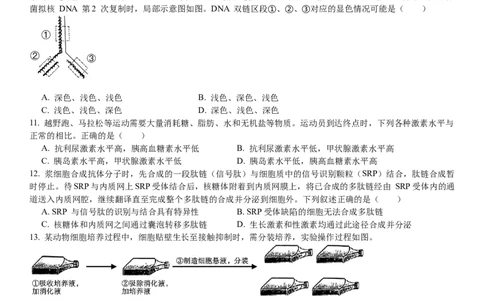 浙江生物-1月-试题-p_近10年高考真题汇编（必刷）_2024年高考真题_高考真题（截止6.29）_其他地方卷（目前搜集不完整）_浙江卷（1月全，6月化、通用技术、信息技术）