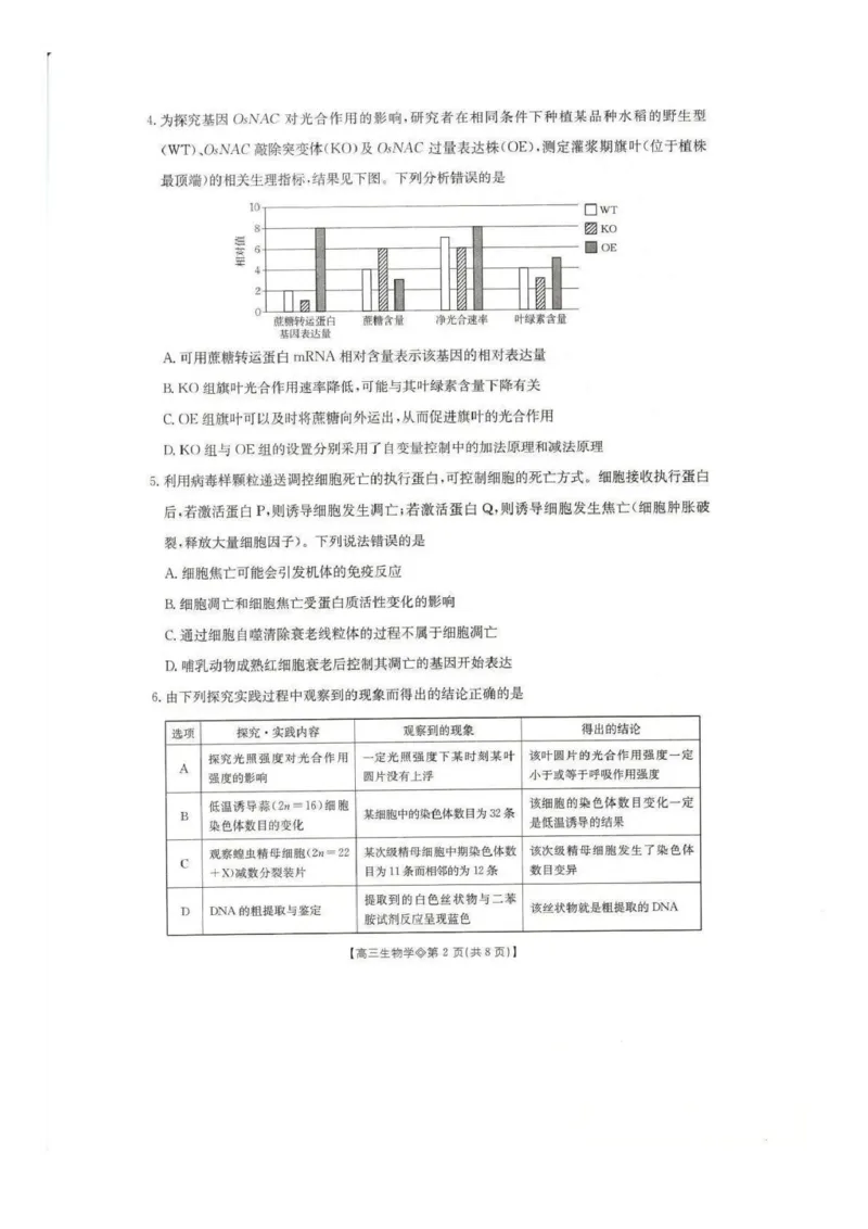 生物试题(1)_2026年1月_260130安徽省阜阳市2025-2026学年高三上学期1月期末（全科）_安徽省阜阳市2025-2026学年高三上学期1月期末生物