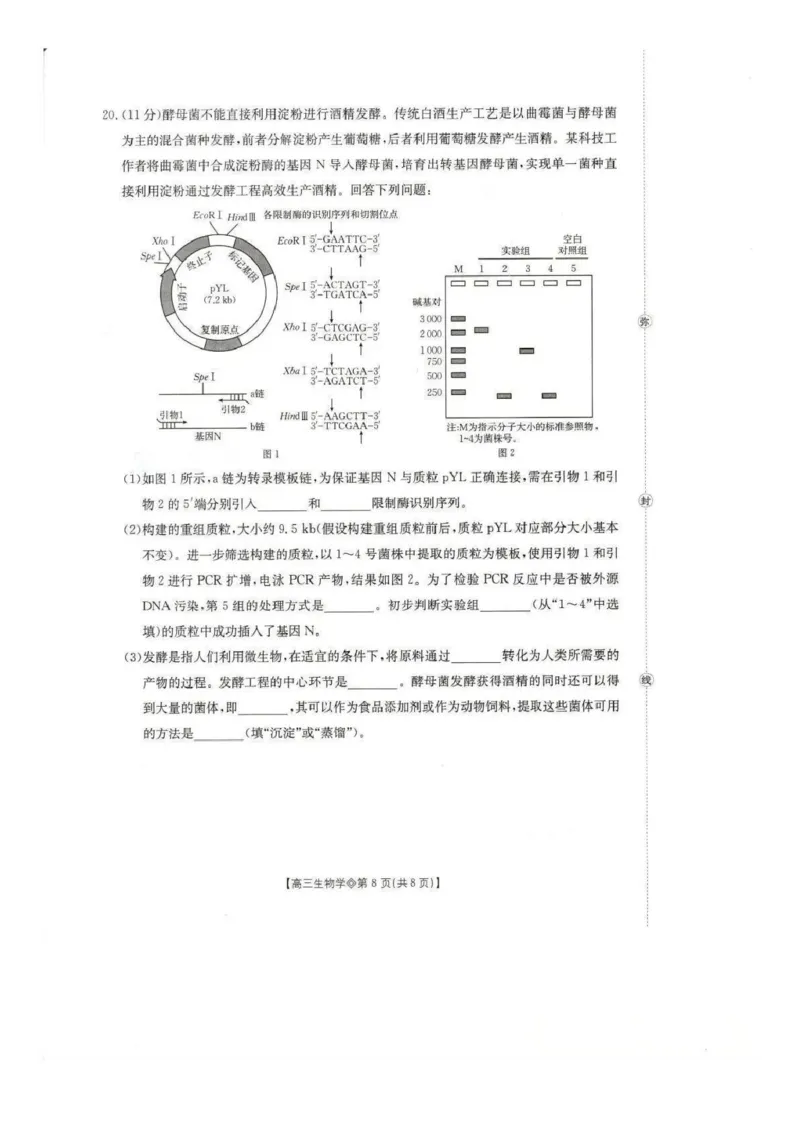 生物试题(1)_2026年1月_260130安徽省阜阳市2025-2026学年高三上学期1月期末（全科）_安徽省阜阳市2025-2026学年高三上学期1月期末生物