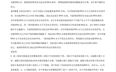 2024年新课标高考真题山东卷生物（解析版）_高考真题全网收集_生物学_2024年新高考山东卷生物高考真题解析（参考版）