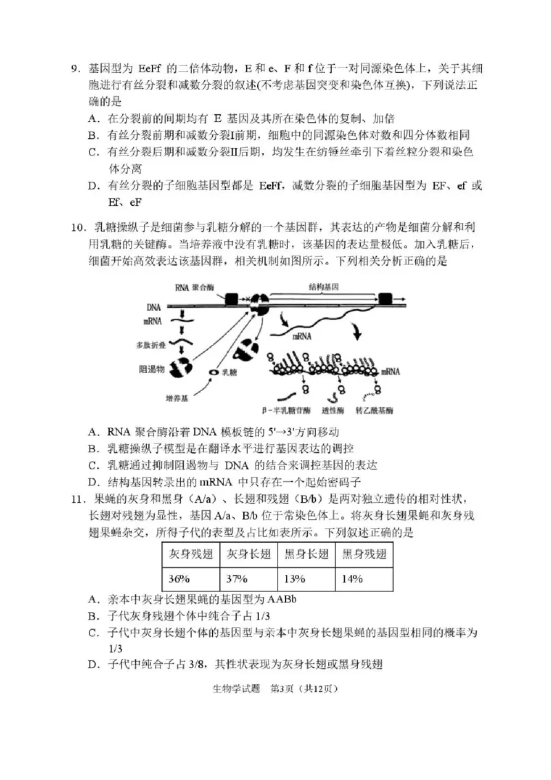 哈尔滨市第三中学2025-2026学年高三上学期期末考试生物+答案(1)_2026年1月_260114黑龙江省哈尔滨市第三中学2025-2026学年高三上学期期末考试（全）