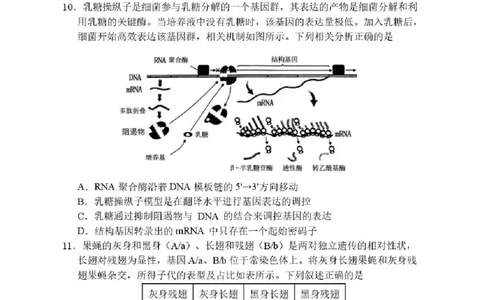 哈尔滨市第三中学2025-2026学年高三上学期期末考试生物+答案(1)_2026年1月_260114黑龙江省哈尔滨市第三中学2025-2026学年高三上学期期末考试（全）