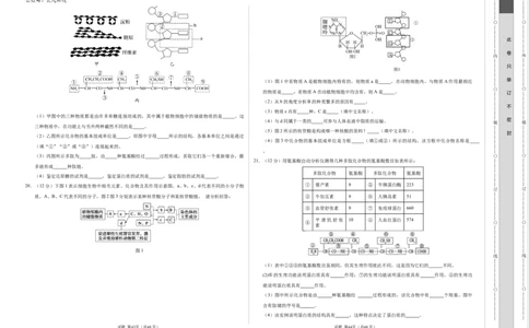 高一生物第一次月考卷（考试版A3）测试范围：1~2章（北京专用）_1多考区联考试卷_0924黄金卷：2024-2025学年高一上学期第一次月考9科word解析版含答题卡（北京专用）
