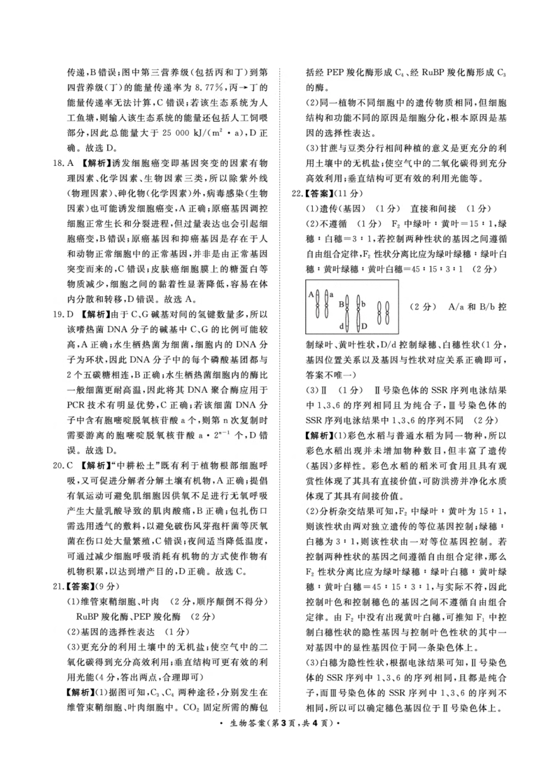 9月高三联考生物答案(1)_2023年9月_029月合集_2024届河南省青桐鸣高三上学期9月月考