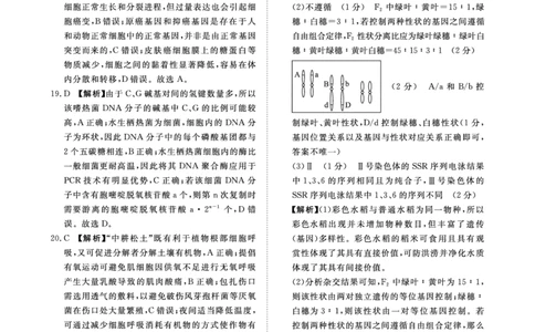9月高三联考生物答案(1)_2023年9月_029月合集_2024届河南省青桐鸣高三上学期9月月考