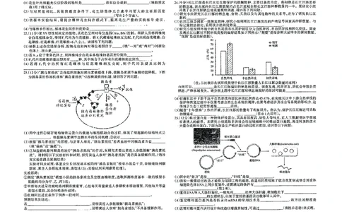 南昌高三上(零模)-生物试题+答案(1)_2023年9月_029月合集_2024届江西省南昌市高三零诊