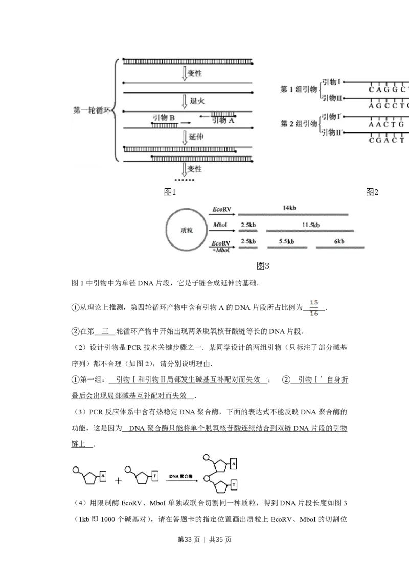 2011年高考生物试卷（江苏）（解析卷）_生物历年高考真题_新&middot;PDF版2008-2025&middot;高考生物真题_生物（按年份分类）2008-2025_2011&middot;高考生物真题