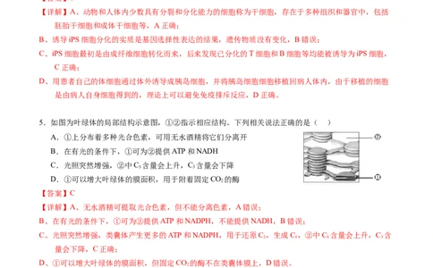 生物-2024届新高三开学摸底考试卷（新教材专用）01(解析版)_2024届新高三开学摸底考试卷_生物-2024届新高三开学摸底考试卷_生物-2024届新高三开学摸底考试卷（全国通用，新教材）01