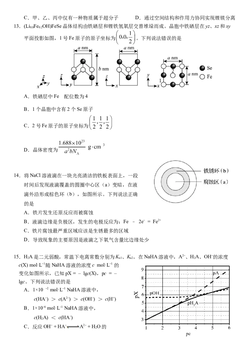 湖北省武汉外国语学校2024-2025学年高三上学期10月考试化学Word版含答案_11月_241103湖北省武汉外国语学校2025届高三上学期10月月考