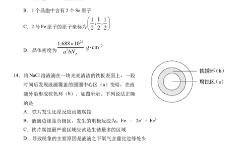 湖北省武汉外国语学校2024-2025学年高三上学期10月考试化学Word版含答案_11月_241103湖北省武汉外国语学校2025届高三上学期10月月考