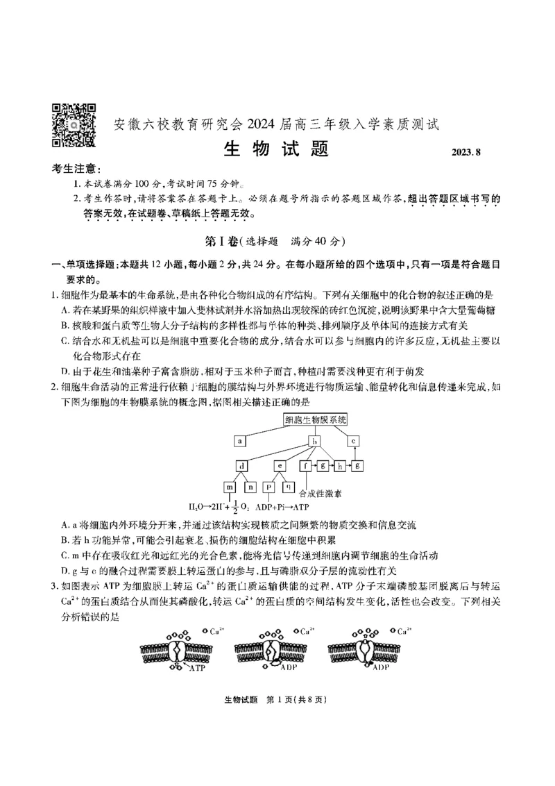 安徽六校教研高三上（开学考）-生物试题+答案(1)_2023年9月_029月合集_2024届安徽省六校教育研究会高三入学考试