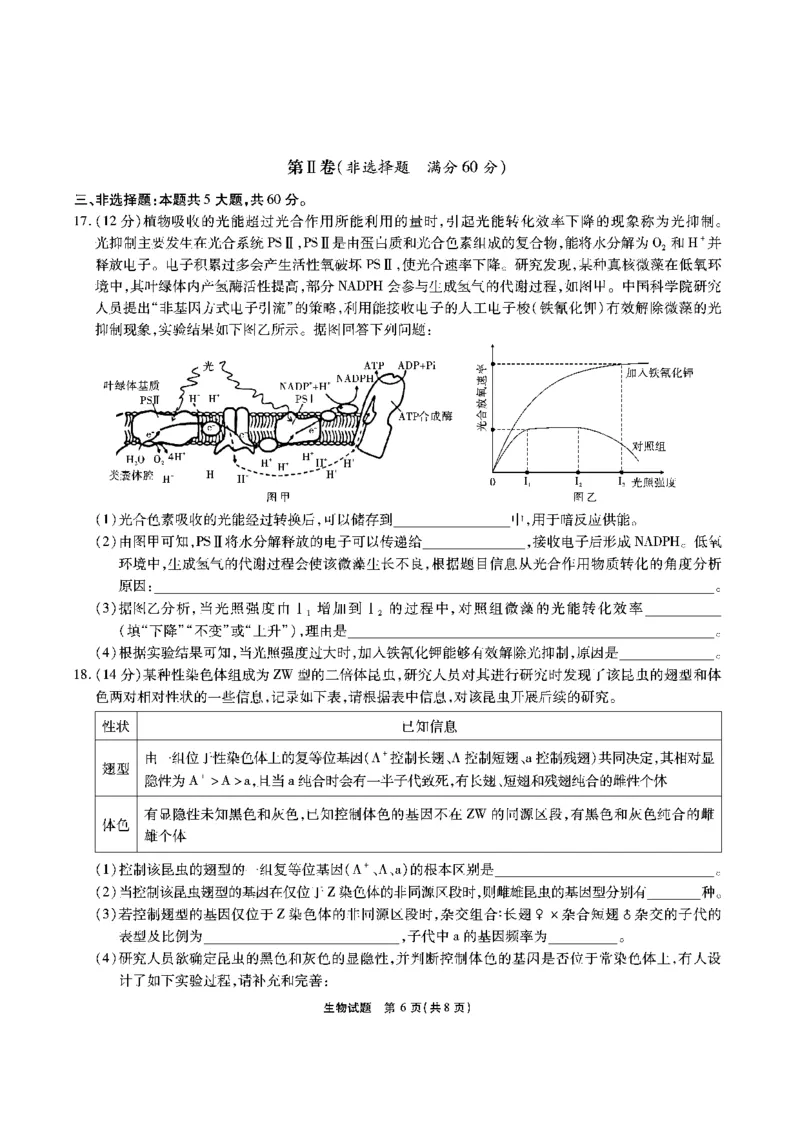 安徽六校教研高三上（开学考）-生物试题+答案(1)_2023年9月_029月合集_2024届安徽省六校教育研究会高三入学考试