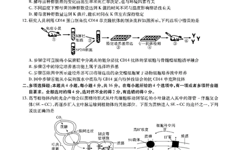 安徽六校教研高三上（开学考）-生物试题+答案(1)_2023年9月_029月合集_2024届安徽省六校教育研究会高三入学考试