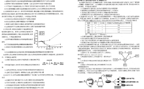 辽宁协作校2025-2026学年度上学期期末考试高三试题生物(1)_2026年1月_260120辽宁协作校2025-2026学年度上学期期末考试高三试题（全科）