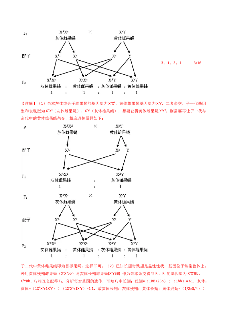 专题13伴性遗传和人类遗传病（解析卷）_近10年高考真题汇编（必刷）_十年（2014-2024）高考生物真题分项汇编（全国通用）_十年（2014-2023）高考生物真题分项汇编（全国通用）