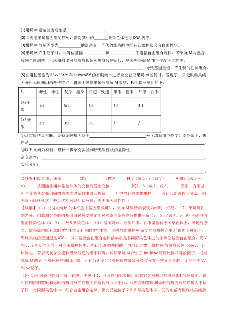 专题13伴性遗传和人类遗传病（解析卷）_近10年高考真题汇编（必刷）_十年（2014-2024）高考生物真题分项汇编（全国通用）_十年（2014-2023）高考生物真题分项汇编（全国通用）