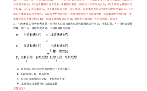 专题13伴性遗传和人类遗传病（解析卷）_近10年高考真题汇编（必刷）_十年（2014-2024）高考生物真题分项汇编（全国通用）_十年（2014-2023）高考生物真题分项汇编（全国通用）