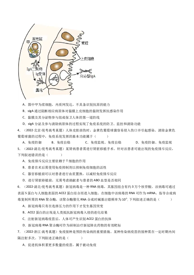 专题19免疫调节（原卷卷）_近10年高考真题汇编（必刷）_十年（2014-2024）高考生物真题分项汇编（全国通用）_十年（2014-2023）高考生物真题分项汇编（全国通用）