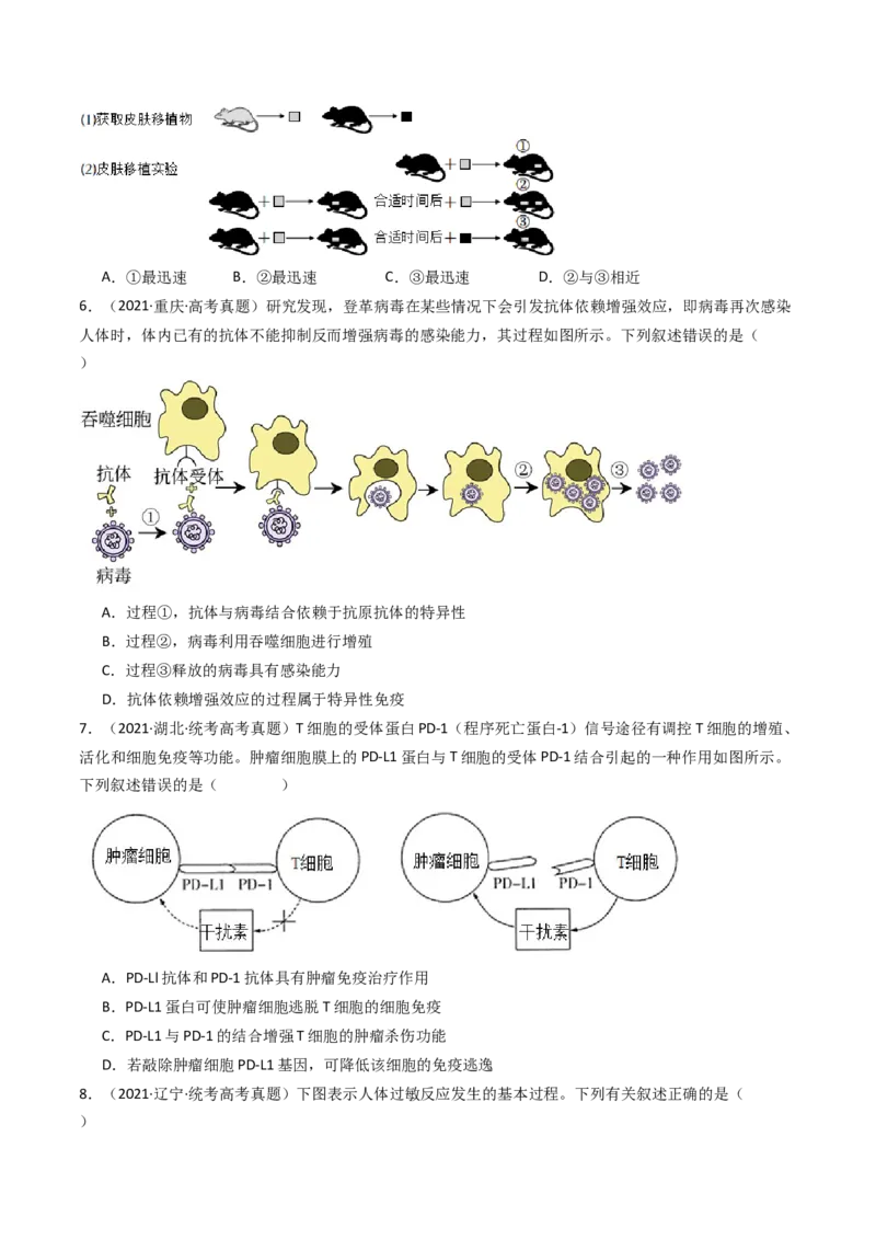 专题19免疫调节（原卷卷）_近10年高考真题汇编（必刷）_十年（2014-2024）高考生物真题分项汇编（全国通用）_十年（2014-2023）高考生物真题分项汇编（全国通用）