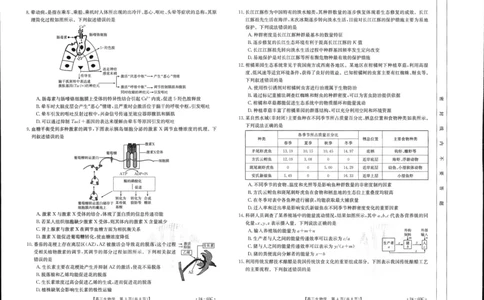 2024届湖北省部分学校高三上学期8月起点考试生物(1)_2023年8月_028月合集_2024届湖北省部分学校高三上学期8月起点考试