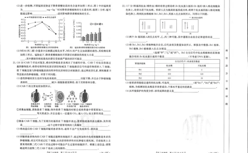 2024届湖北省部分学校高三上学期8月起点考试生物(1)_2023年8月_028月合集_2024届湖北省部分学校高三上学期8月起点考试