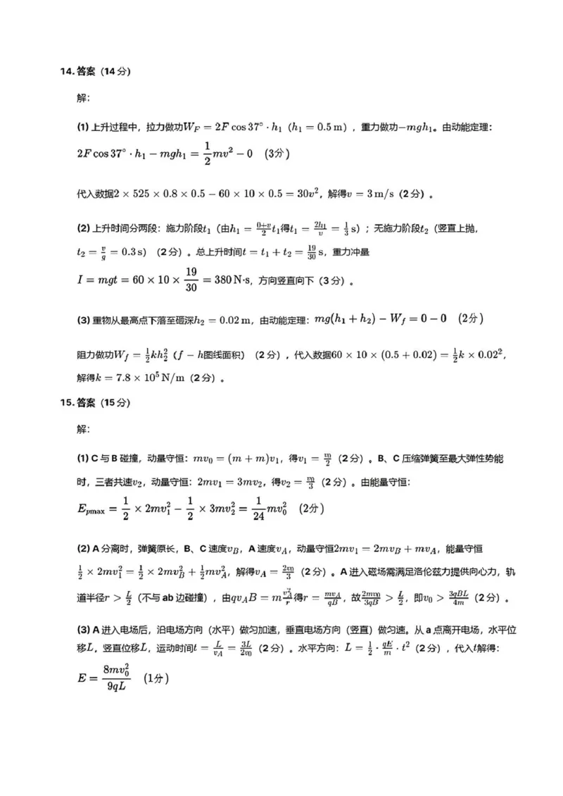 广东省惠州市2026届高三第二次调研考试物理试题（含答案）(1)_2026年1月_260117广东省惠州市2025-2026学年高三上学期第二次调研考试（全科）