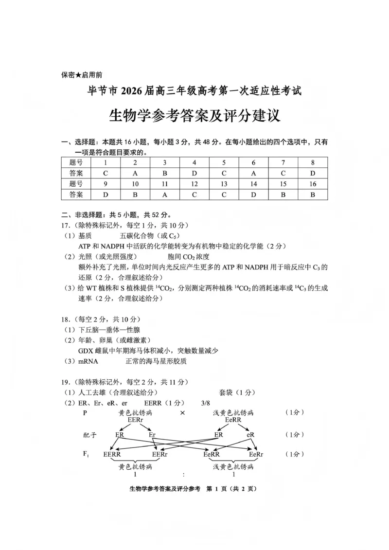 毕节市2026届高三年级高考第一次适应性考试生物答案(1)_2026年1月_260119贵州省毕节市2026届高三年级高考第一次适应性考试（毕节一诊）（全）