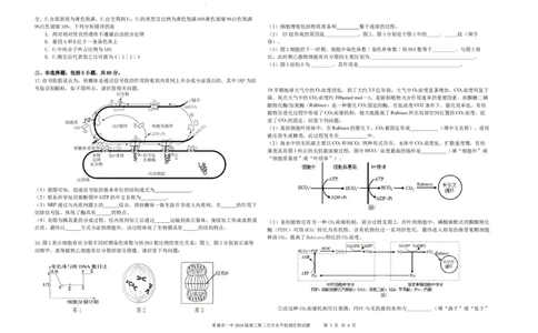 2024届月考2（生）_2023年8月_01每日更新_18号_2024届湖南省常德市第一中学高三上学期第二次月考_湖南省常德市第一中学2024届高三上学期第二次月考生物