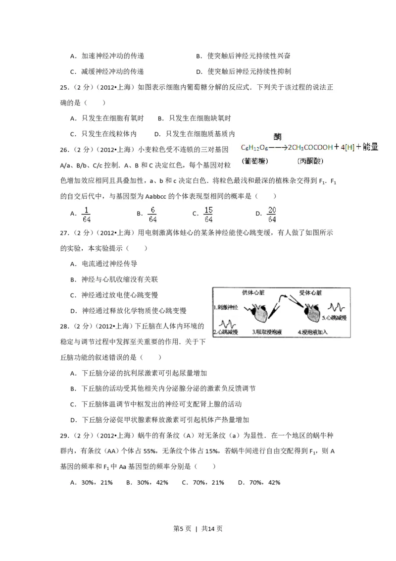 2012年高考生物试卷（上海）（空白卷）_生物历年高考真题_新&middot;PDF版2008-2025&middot;高考生物真题_生物（按试卷类型分类）2008-2025_自主命题卷&middot;生物（2008-2025）_上海自主命题&middot;生物（2008-2022）