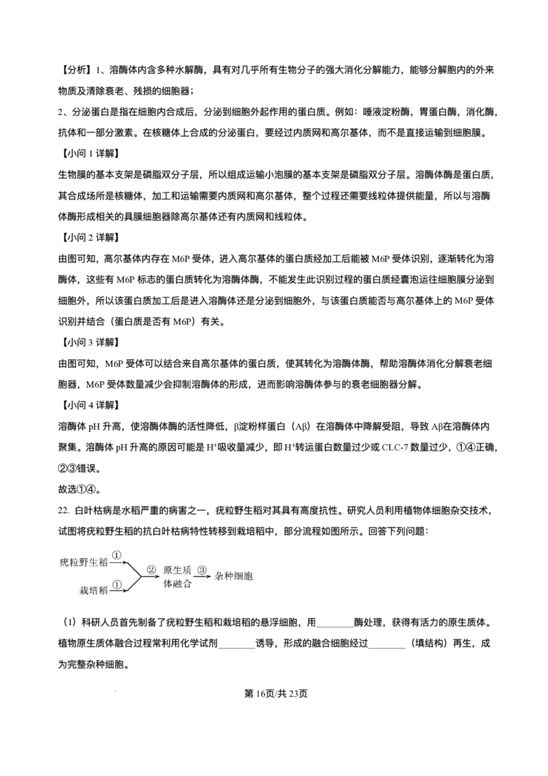 辽宁省七校协作体2026届高三上学期期初联考生物试卷（含解析）_2025年9月_250905辽宁省七校协作体2026届高三上学期期初联考（全科）_辽宁省七校协作体2026届高三上学期期初联考生物