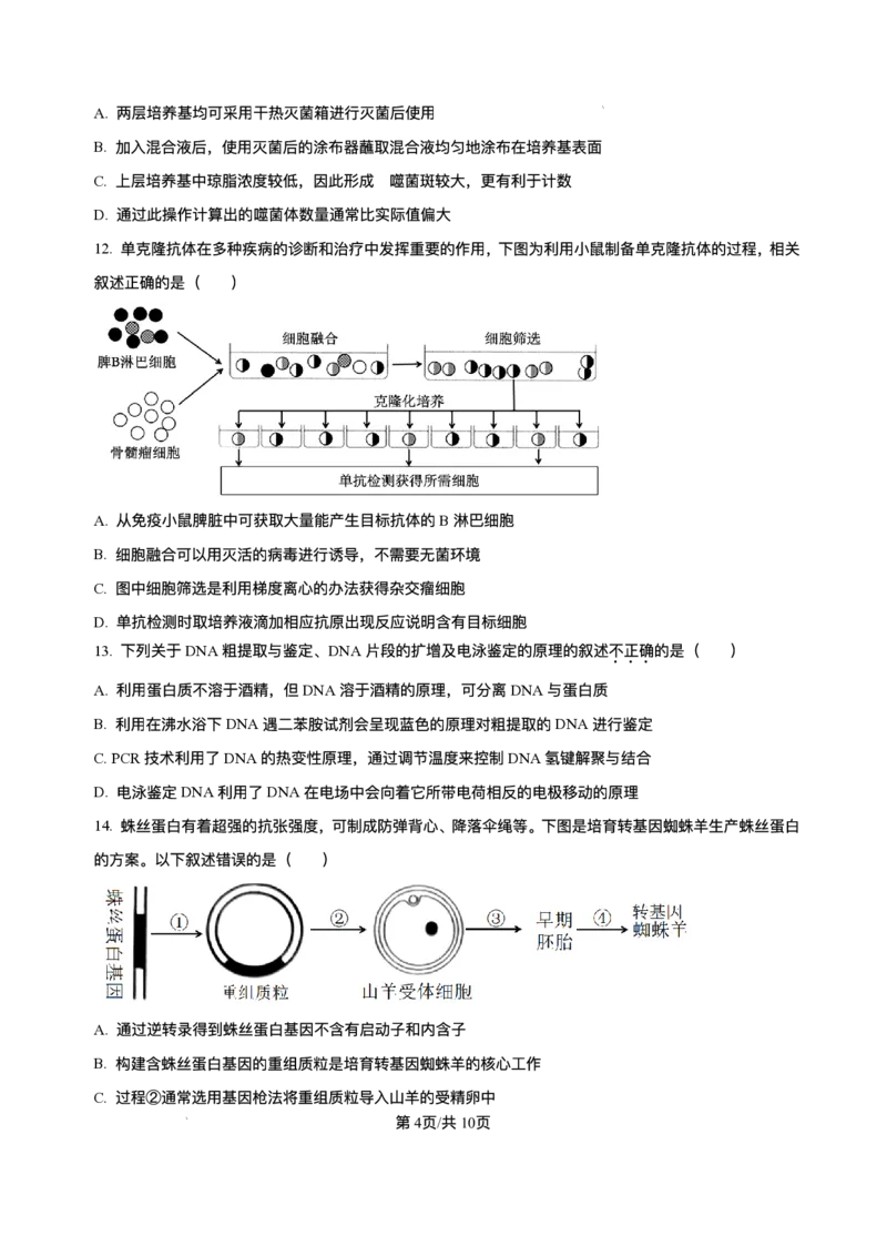 辽宁省七校协作体2026届高三上学期期初联考生物试卷（含解析）_2025年9月_250905辽宁省七校协作体2026届高三上学期期初联考（全科）_辽宁省七校协作体2026届高三上学期期初联考生物
