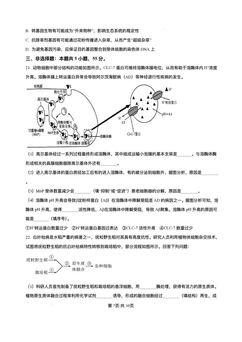 辽宁省七校协作体2026届高三上学期期初联考生物试卷（含解析）_2025年9月_250905辽宁省七校协作体2026届高三上学期期初联考（全科）_辽宁省七校协作体2026届高三上学期期初联考生物