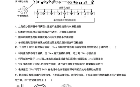 辽宁省七校协作体2026届高三上学期期初联考生物试卷（含解析）_2025年9月_250905辽宁省七校协作体2026届高三上学期期初联考（全科）_辽宁省七校协作体2026届高三上学期期初联考生物