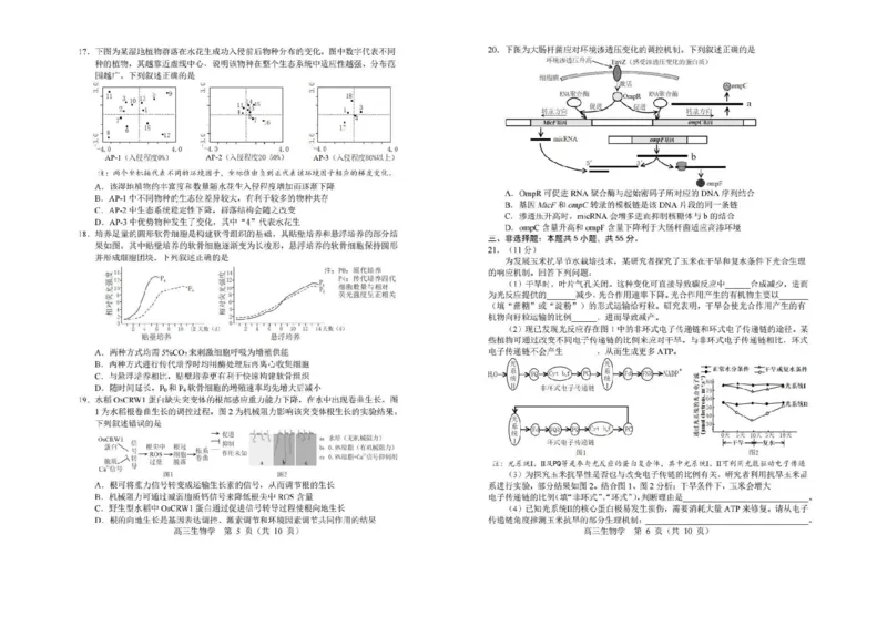 生物试卷-2026年沈阳市高中三年级教学质量监测(一)(1)_2026年1月_260115辽宁省沈阳市2026届高三教学质量检测（一）（沈阳一模）（全科）