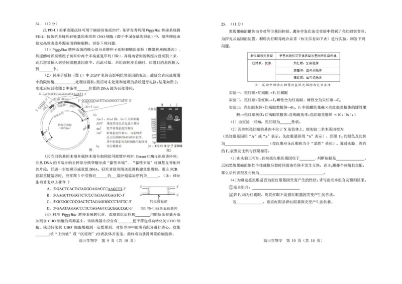 生物试卷-2026年沈阳市高中三年级教学质量监测(一)(1)_2026年1月_260115辽宁省沈阳市2026届高三教学质量检测（一）（沈阳一模）（全科）