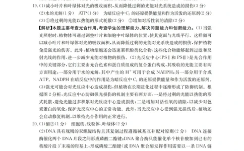 生物学答案_扫描版(1)_2026年1月_260103河北省邢台市2025-2026学年高三上学期第三次月考（全科）_河北省邢台市2025-2026学年高三上学期第三次月考生物试题（含答案）