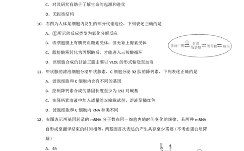 2011年高考生物试卷（上海）（解析卷）_生物历年高考真题_新&middot;PDF版2008-2025&middot;高考生物真题_生物（按试卷类型分类）2008-2025_自主命题卷&middot;生物（2008-2025）_上海自主命题&middot;生物（2008-2022）