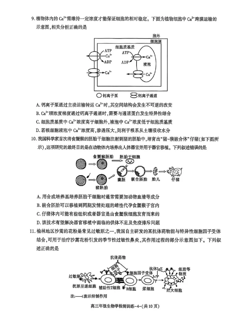 陕西省榆林市2026届高三年级检测训练生物(1)_2026年1月_260124陕西省榆林市2026届高三年级检测训练（榆林二模）