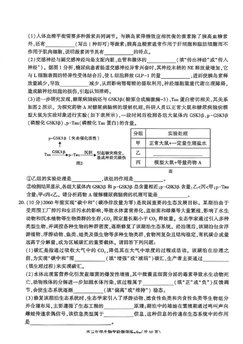 陕西省榆林市2026届高三年级检测训练生物(1)_2026年1月_260124陕西省榆林市2026届高三年级检测训练（榆林二模）