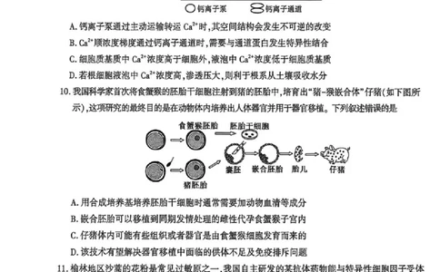 陕西省榆林市2026届高三年级检测训练生物(1)_2026年1月_260124陕西省榆林市2026届高三年级检测训练（榆林二模）