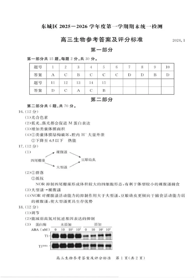 生物答案(1)_2026年1月_260115北京市东城区2025-2026学年高三上学期1月期末考试（全科）_北京市东城区2025-2026学年高三上学期期末考试生物