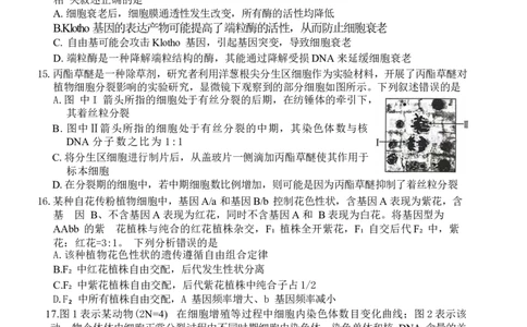 河北省衡水市桃城区多校2024-2025学年高三上学期10月学科素养监测（三调）生物Word版含答案_11月_2411052025河北省衡水市桃城区多校高三上学期10月学科素养监测（三调）