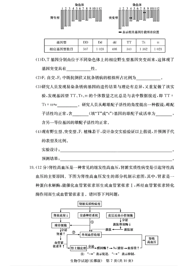 湖南省长沙市长郡中学2024-2025学年高三上学期月考卷（三）生物学+答案_11月_241104湖南省长沙市长郡中学2024-2025学年高三上学期月考卷（三）