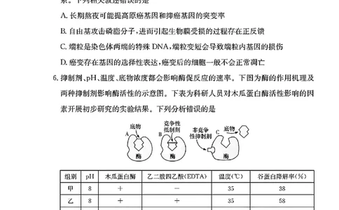 湖南省长沙市长郡中学2024-2025学年高三上学期月考卷（三）生物学+答案_11月_241104湖南省长沙市长郡中学2024-2025学年高三上学期月考卷（三）