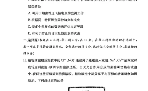 湖南省长沙市长郡中学2024-2025学年高三上学期月考卷（三）生物学+答案_11月_241104湖南省长沙市长郡中学2024-2025学年高三上学期月考卷（三）